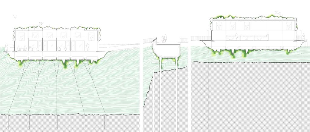 Longitudinal Section-01